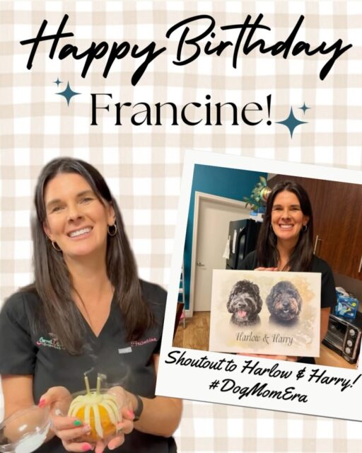 Happy birthday, Francine! We are so thankful for you! We hope you have a great weekend celebrating! 🎉✨ Also, shoutout to Francine’s favorite fur babies- Harlow and Harry! Should she hang up the photo of them she got as a present in the office? Let us know below! 👇🏼🐶🐾
